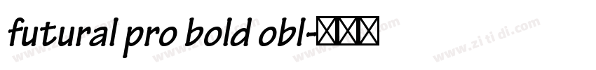 futural pro bold obl字体转换